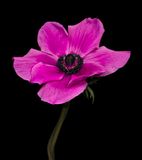 2024-03-26-12.43.57 ZS PMax_openWith.jpg