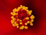 2024-04-29-10.45.11 ZS PMax_100_openWith.jpg