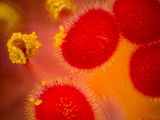 2024-05-02-12.04.01 ZS PMax_openWith.jpg