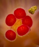 2024-05-04-12.26.10 ZS PMax_openWith.jpg