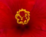 2024-05-05-09.37.09 ZS PMax_openWith.jpg