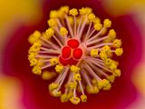 2024-05-08-08.56.46 ZS PMax_65_openWith.jpg