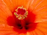 2024-05-12-12.05.57 ZS PMax_openWith.jpg
