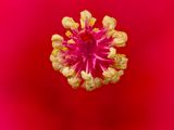 2024-05-13-10.31.52 ZS PMax_openWith.jpg