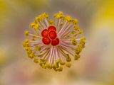 2024-05-14-11.36.26 ZS PMax_openWith.jpg