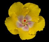 2024-05-16-07.59.26 ZS PMax_openWith.jpg