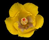 2024-05-16-04.15.19 ZS PMax_30_openWith.jpg