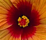 2024-05-24-11.32.26 ZS retouched_openWith.jpg