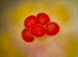 2024-05-26-01.03.59 ZS PMax_openWith.jpg