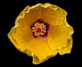 2024-05-30-09.10.07 ZS retouched_openWith.jpg