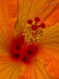 2024-05-30-03.08.56 ZS PMax_openWith.jpg