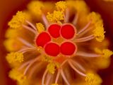 2024-06-01-06.13.19 ZS PMax_openWith.jpg