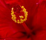 2024-07-13-09.24.25 ZS retouched_openWith.jpg