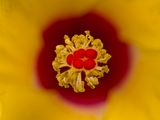 2024-07-15-02.16.13 ZS retouched_openWith.jpg