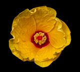 2024-07-25-07.59.32 ZS retouched_openWith.jpg