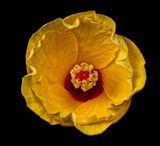 2024-07-25-07.40.35 ZS retouched_openWith.jpg