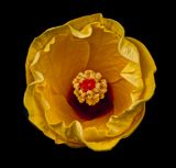 2024-07-25-07.16.59 ZS retouched_openWith.jpg