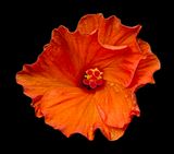 2024-07-25-12.49.39 ZS retouched_openWith.jpg