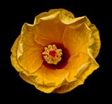 2024-07-28-08.51.00 ZS retouched_openWith.jpg