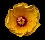 2024-07-28-09.58.21 ZS retouched_openWith.jpg