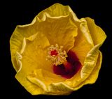 2024-08-02-08.38.13 ZS retouched_openWith.jpg