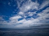 _DSF0472_openWith.jpg