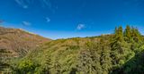 Untitled_Panorama-1_openWith.jpg