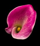 2024-11-16-03.00.52 ZS PMax_openWith.jpg