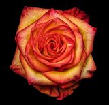 2024-11-18-10.24.52 ZS PMax_openWith.jpg