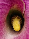 2024-11-19-02.58.34 ZS PMax_openWith.jpg