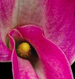 2024-11-28-10.11.01 ZS PMax_openWith.jpg