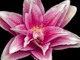 2025-03-12-12.09.57 ZS PMax_openWith.jpg