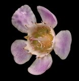 2025-03-14-16.03.27 ZS PMax_openWith.jpg
