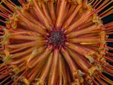2025-03-19-14.25.42 ZS PMax_openWith.jpg
