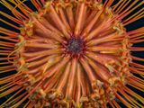 2025-03-19-13.48.05 ZS PMax_openWith.jpg