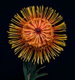 2025-03-19-11.55.36 ZS PMax_openWith.jpg