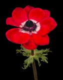 2025-03-23-15.14.35 ZS PMax_openWith.jpg