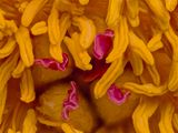 2025-04-11-14.17.26 ZS PMax_openWith.jpg