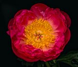 2025-04-24-14.42.06 ZS PMax_openWith.jpg