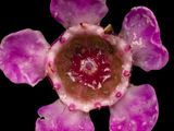 2025-04-24-10.35.27 ZS PMax_openWith.jpg