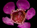 2025-04-24-10.53.04 ZS PMax_openWith.jpg