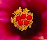 2025-04-29-17.48.36 ZS retouched_openWith.jpg