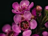 2025-05-06-12.42.29 ZS PMax_openWith.jpg