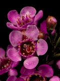 2025-05-06-13.17.49 ZS PMax_openWith.jpg