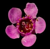 2025-05-06-17.06.18 ZS PMax_openWith.jpg