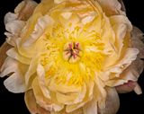 2025-05-08-17.46.15 ZS PMax_openWith.jpg