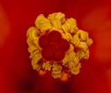 2025-05-15-17.07.03 ZS retouched_openWith.jpg