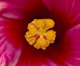 2025-05-19-18.59.00 ZS retouched_openWith.jpg