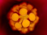 2025-05-21-14.23.24 ZS PMax_openWith.jpg