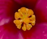 2025-05-30-14.55.36 ZS retouched_openWith.jpg